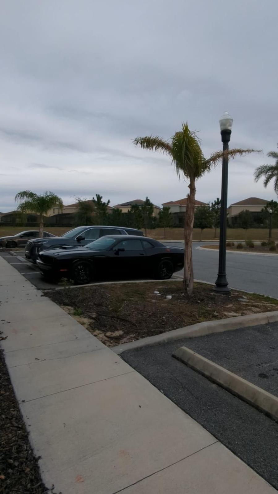 Davenport! Near Disney! Private Pool - 5Bth المظهر الخارجي الصورة